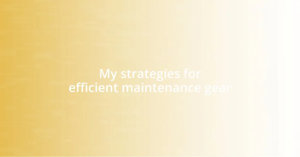 My strategies for efficient maintenance gear