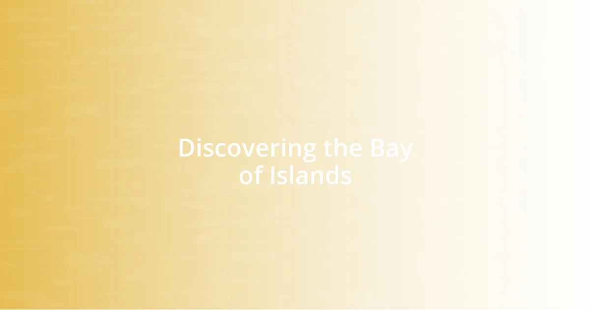 Discovering the Bay of Islands